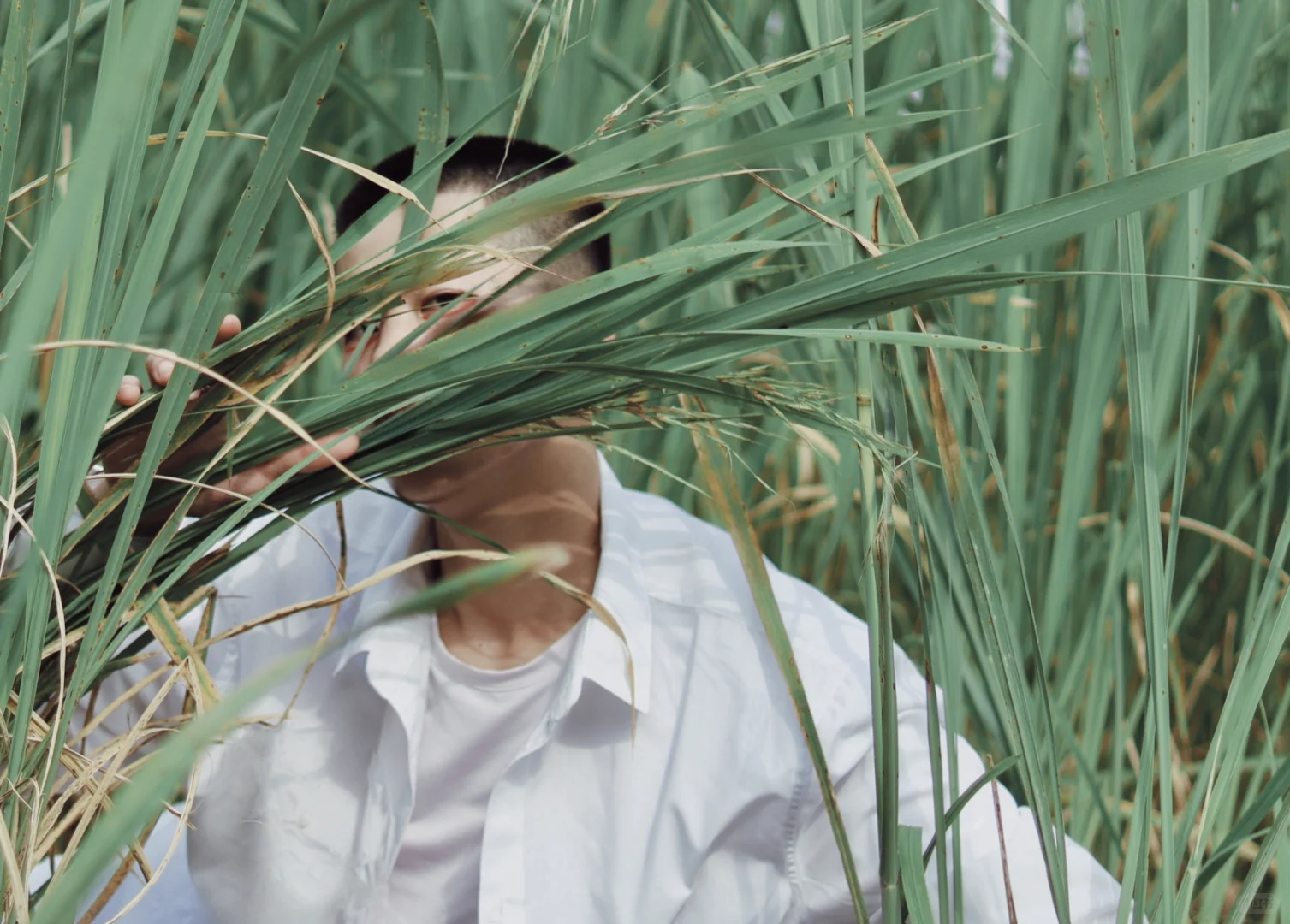 夏至·芦苇🌾｜上海约拍