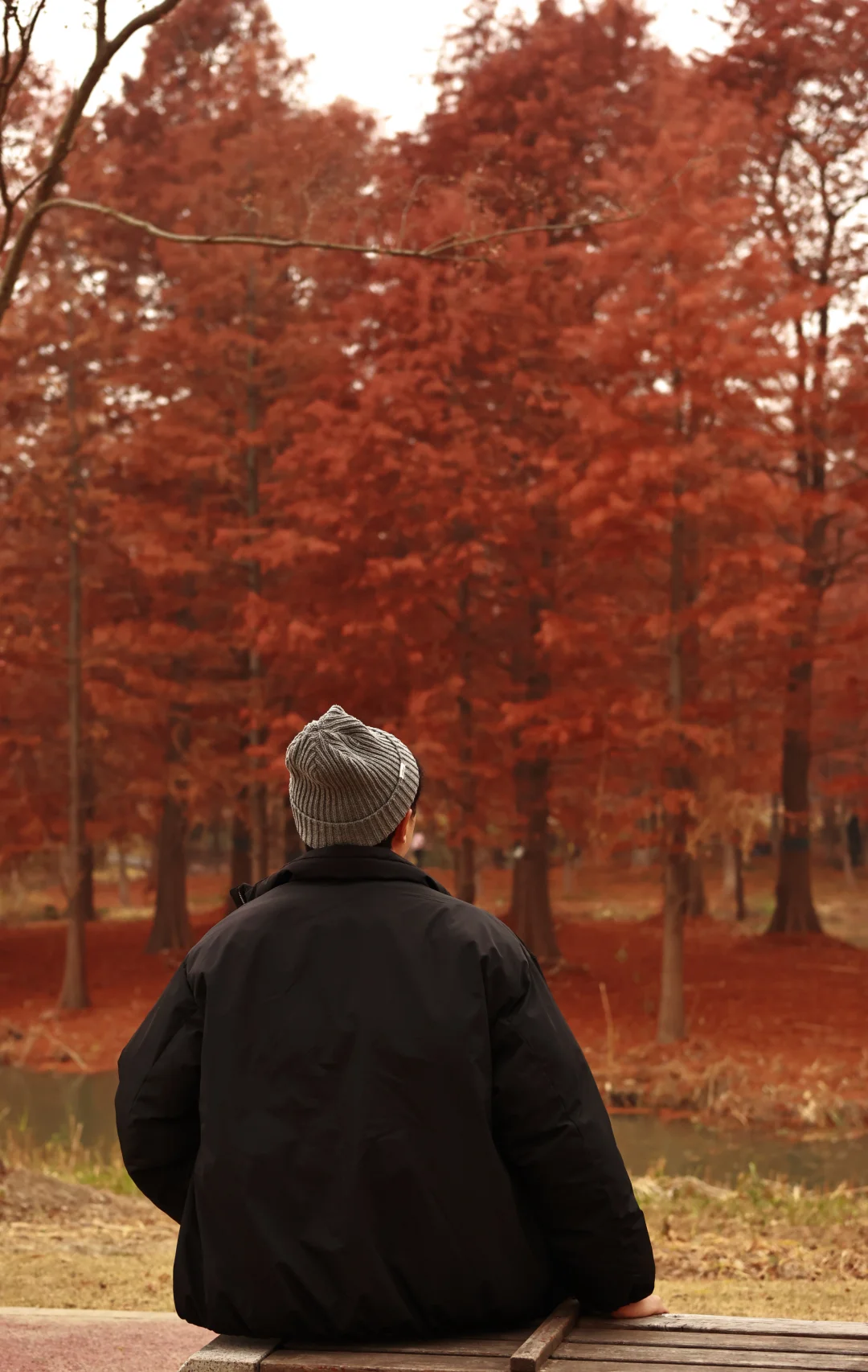 家人们，这里绝对是出红杉写真集的好去处