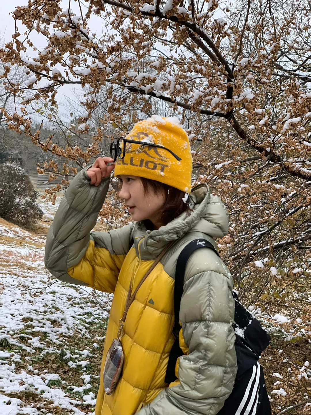 📍青岛初雪，海边的冰雪森林❄️🌲