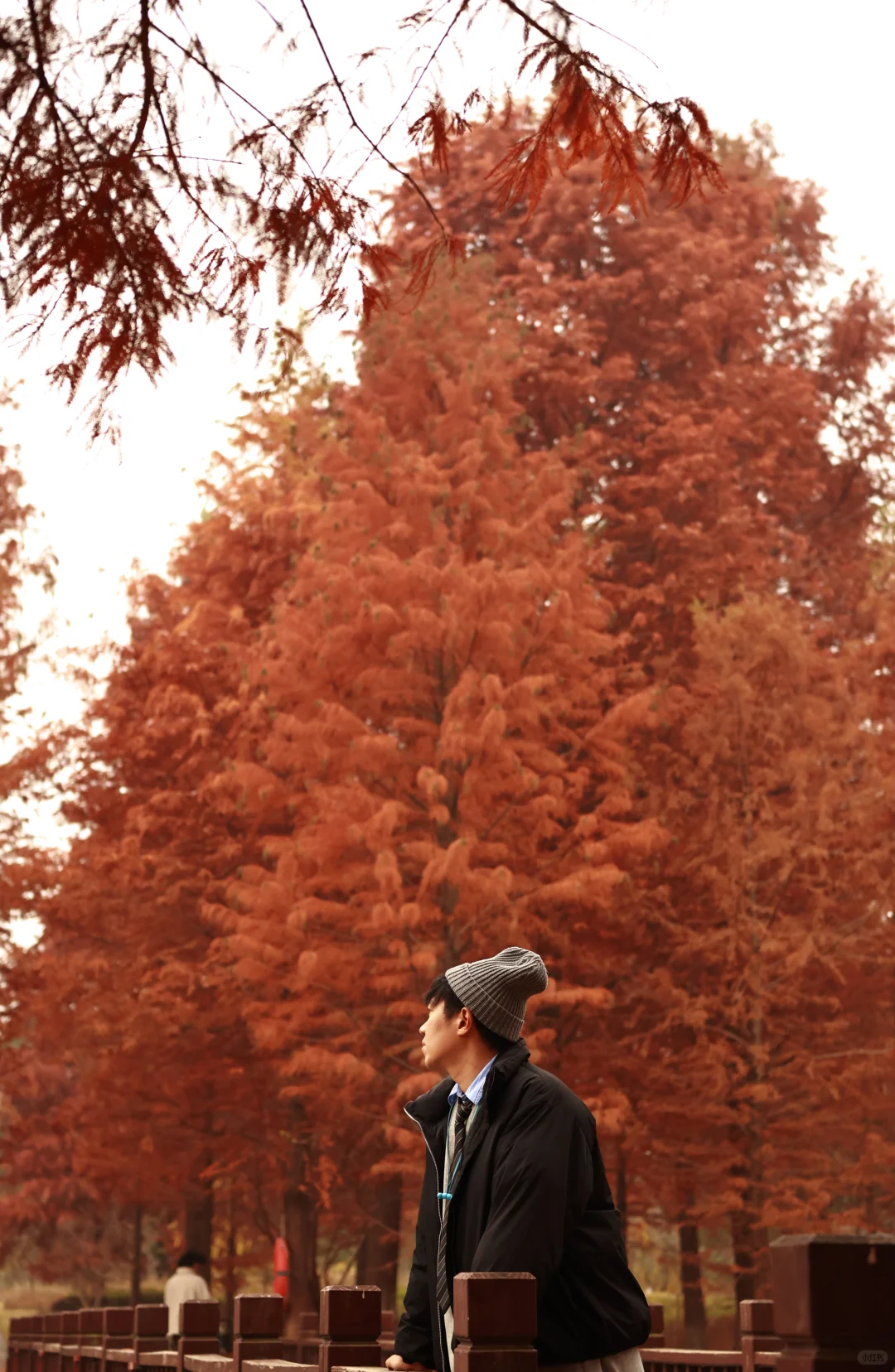 家人们，这里绝对是出红杉写真集的好去处