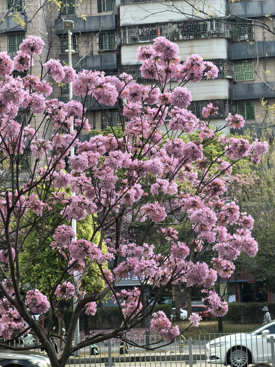 周末愉快，冬至安康