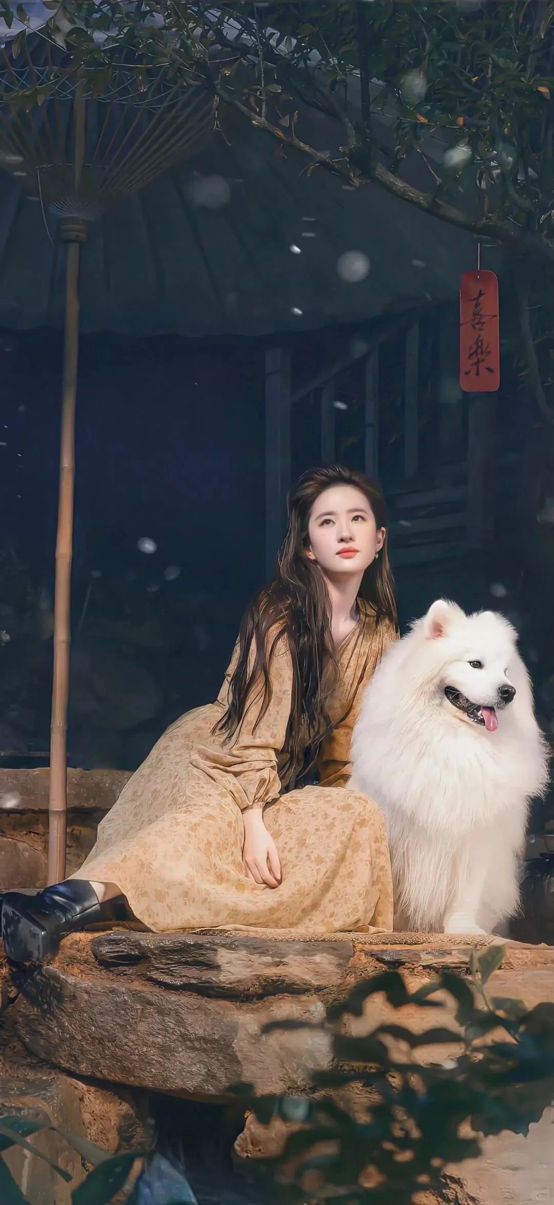 明星壁纸、今日壁纸推荐、高清壁纸