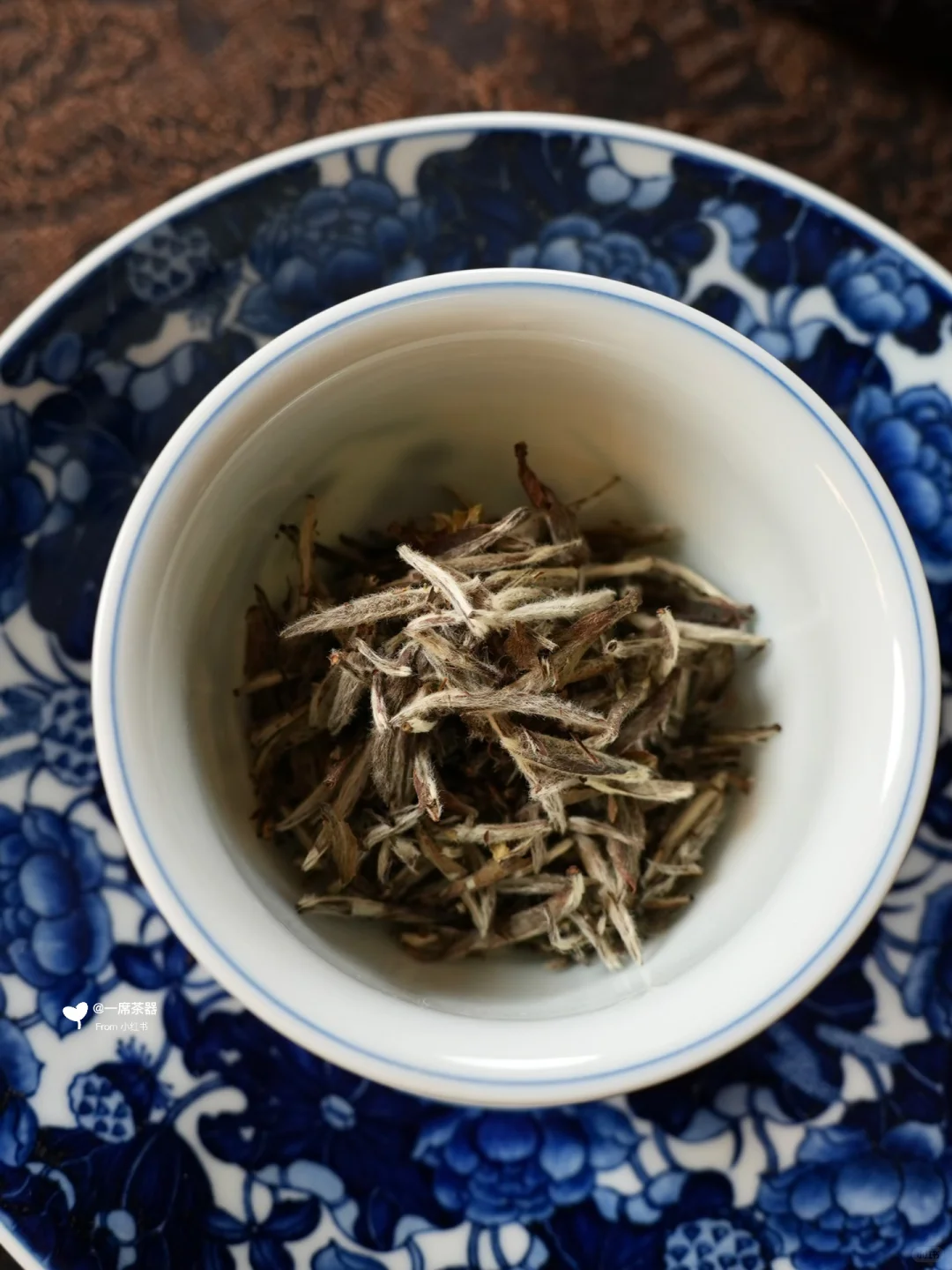 立明堂｜追光逐梦 一路繁花🦌