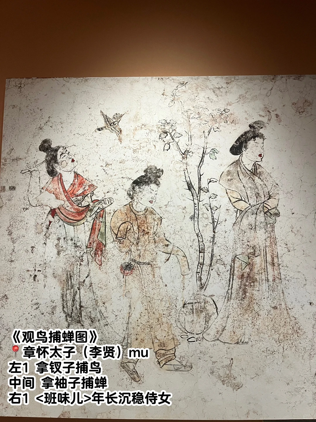 唐代壁画|云看展攻略：必看国宝放大看真绝了