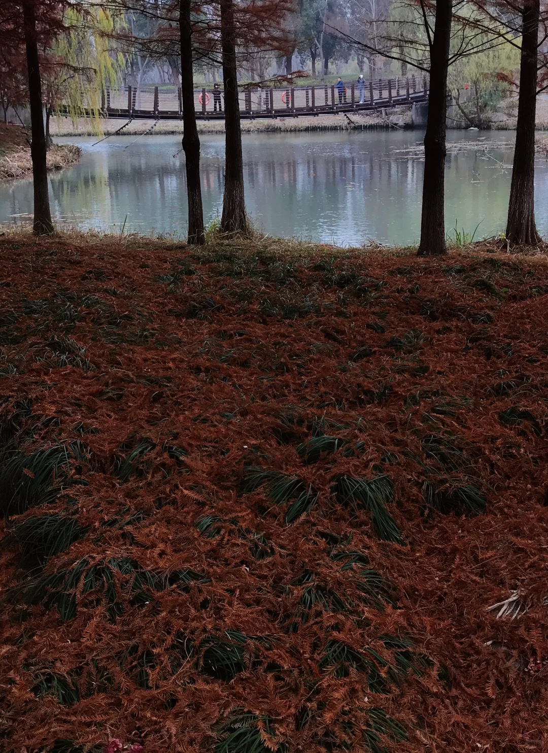 家人们，这里绝对是出红杉写真集的好去处