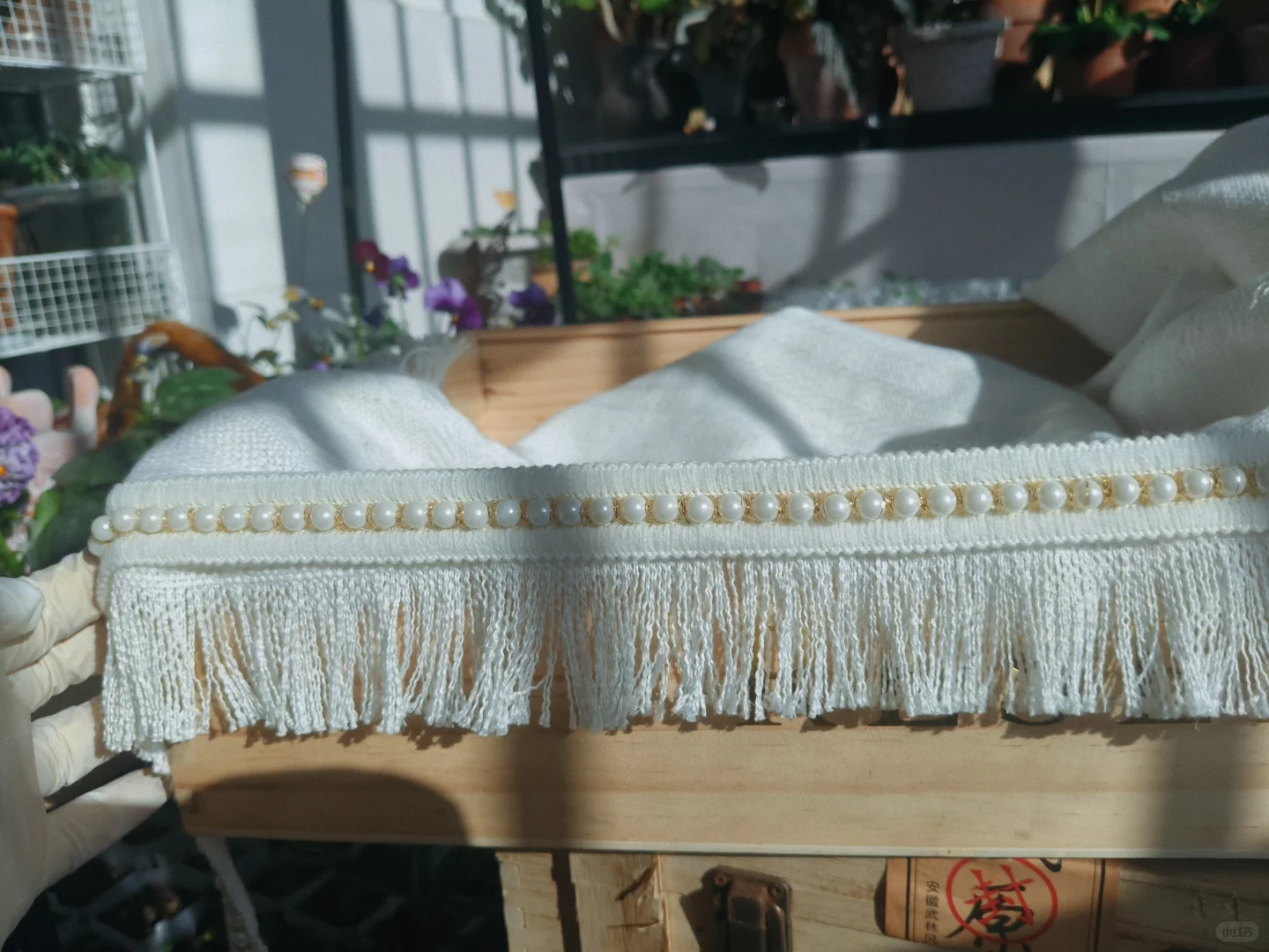 冬至的阳台小花园，温暖一整个冬天❄️