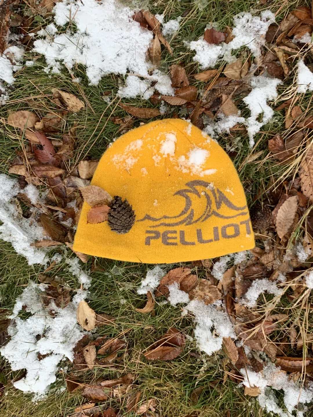 📍青岛初雪，海边的冰雪森林❄️🌲