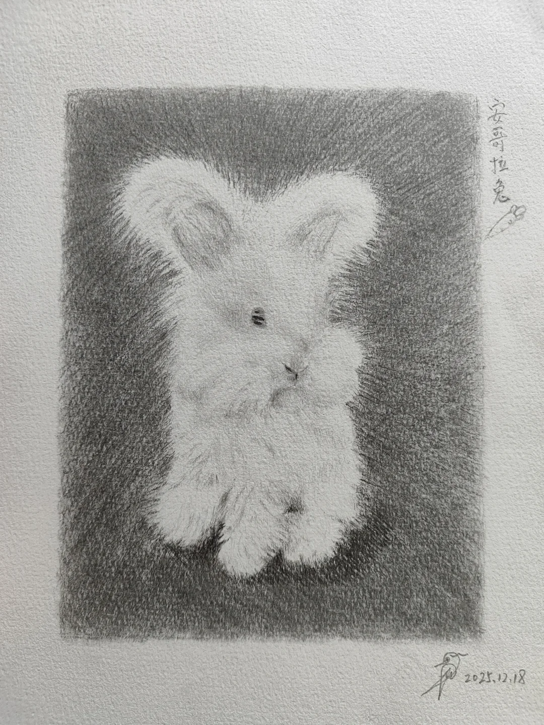 主人，带我回家咯~～