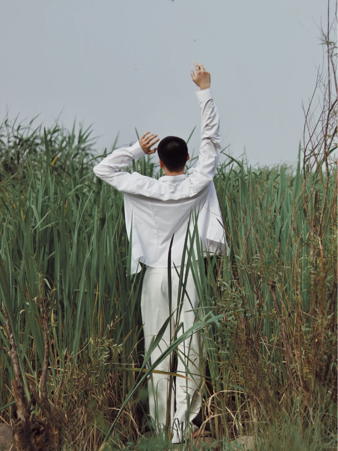 夏至·芦苇🌾｜上海约拍