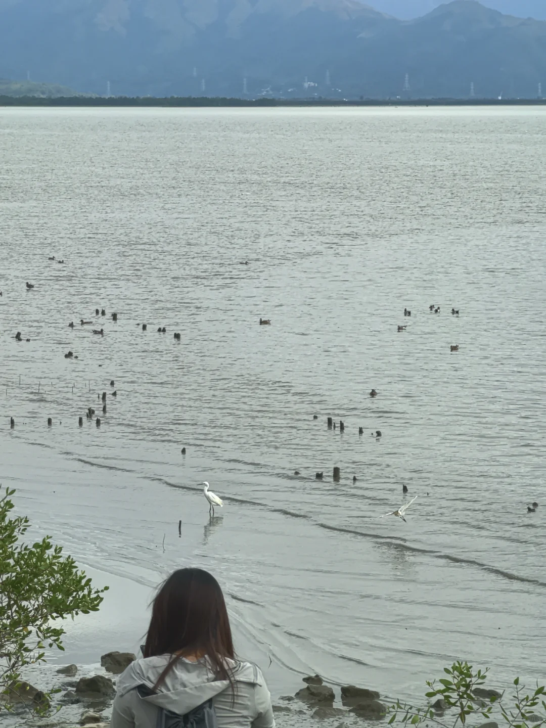 周末愉快，冬至安康