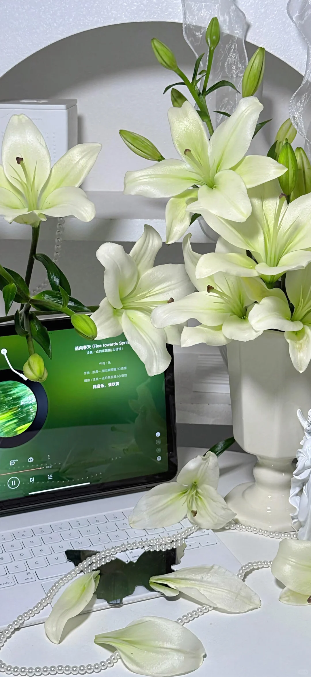 高级感ins风｜快来get同款花花手机壁纸💐