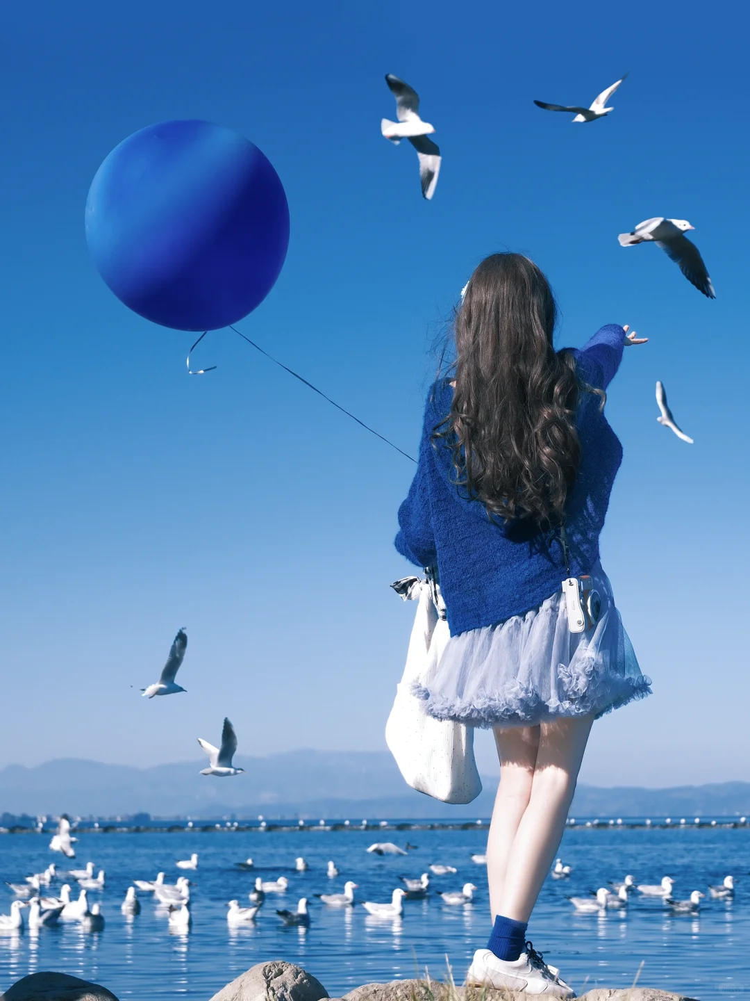 冬日蓝调时刻胶片🎞️海边海鸥氛围感随拍