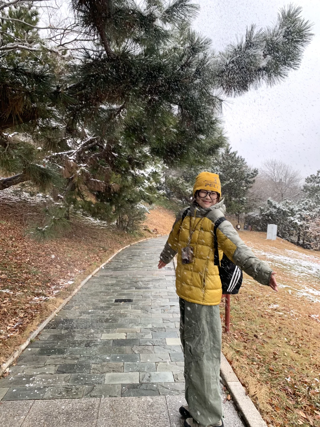 📍青岛初雪，海边的冰雪森林❄️🌲