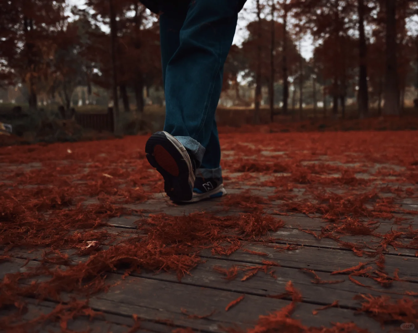 家人们，这里绝对是出红杉写真集的好去处