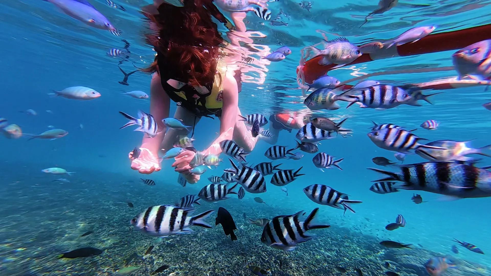 一些假期碎片🧩✨📸