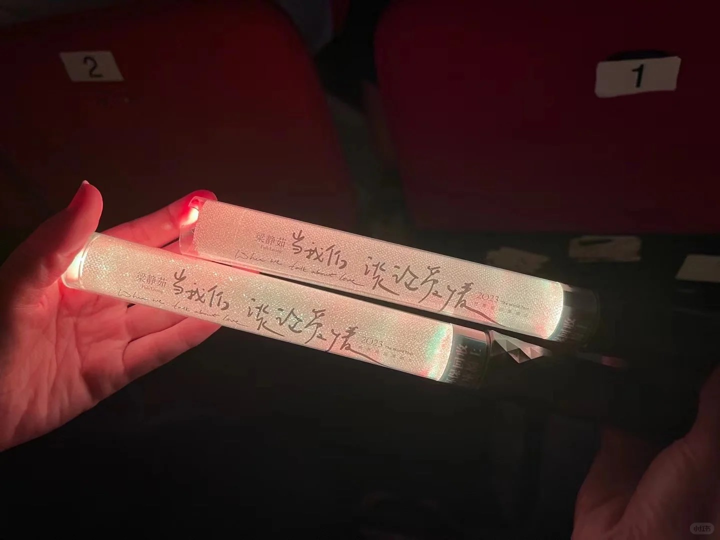 🐟姐2025演唱会