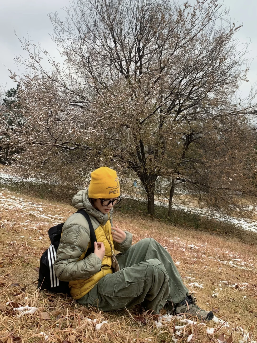 📍青岛初雪，海边的冰雪森林❄️🌲