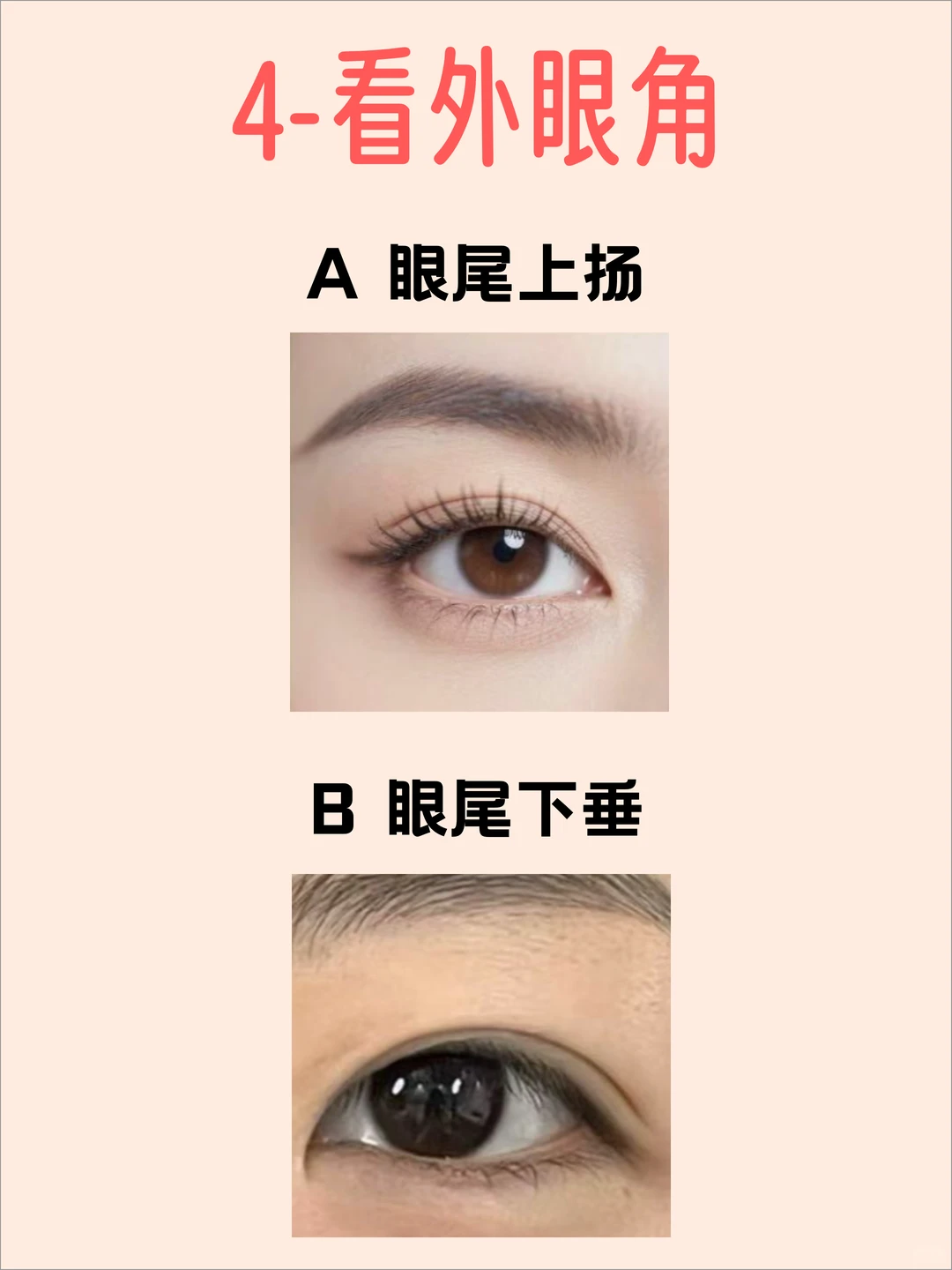 30秒自测你的「本命眼型」👀