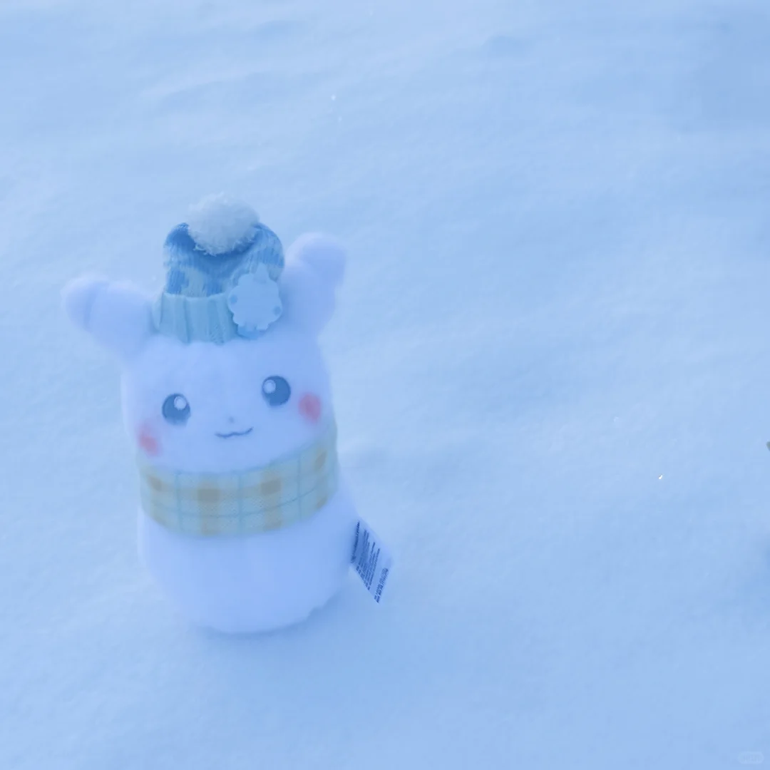 雪人皮·写真集