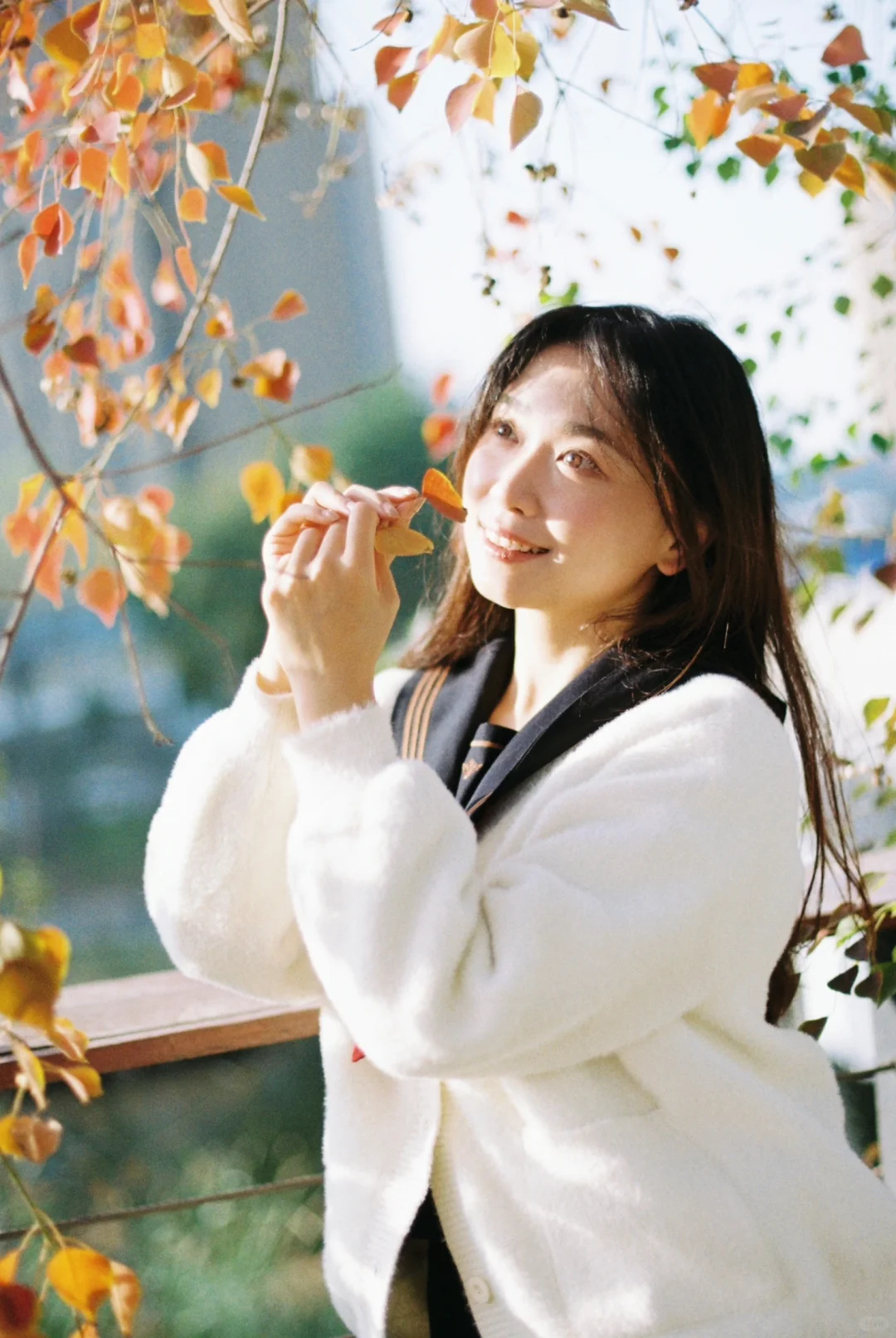 胶片合集｜是哪本写真集的扉页