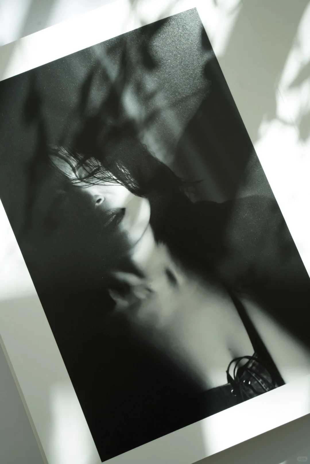 我的第13本照片书