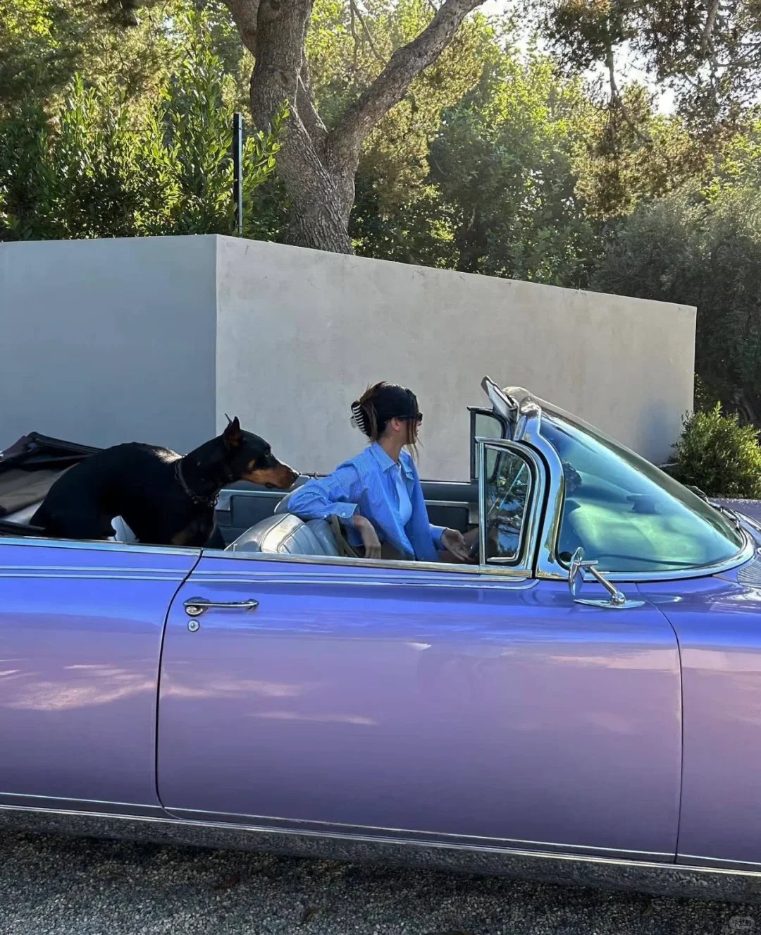 肯豆啊，漂亮有钱的小姨，自由，美好，热烈