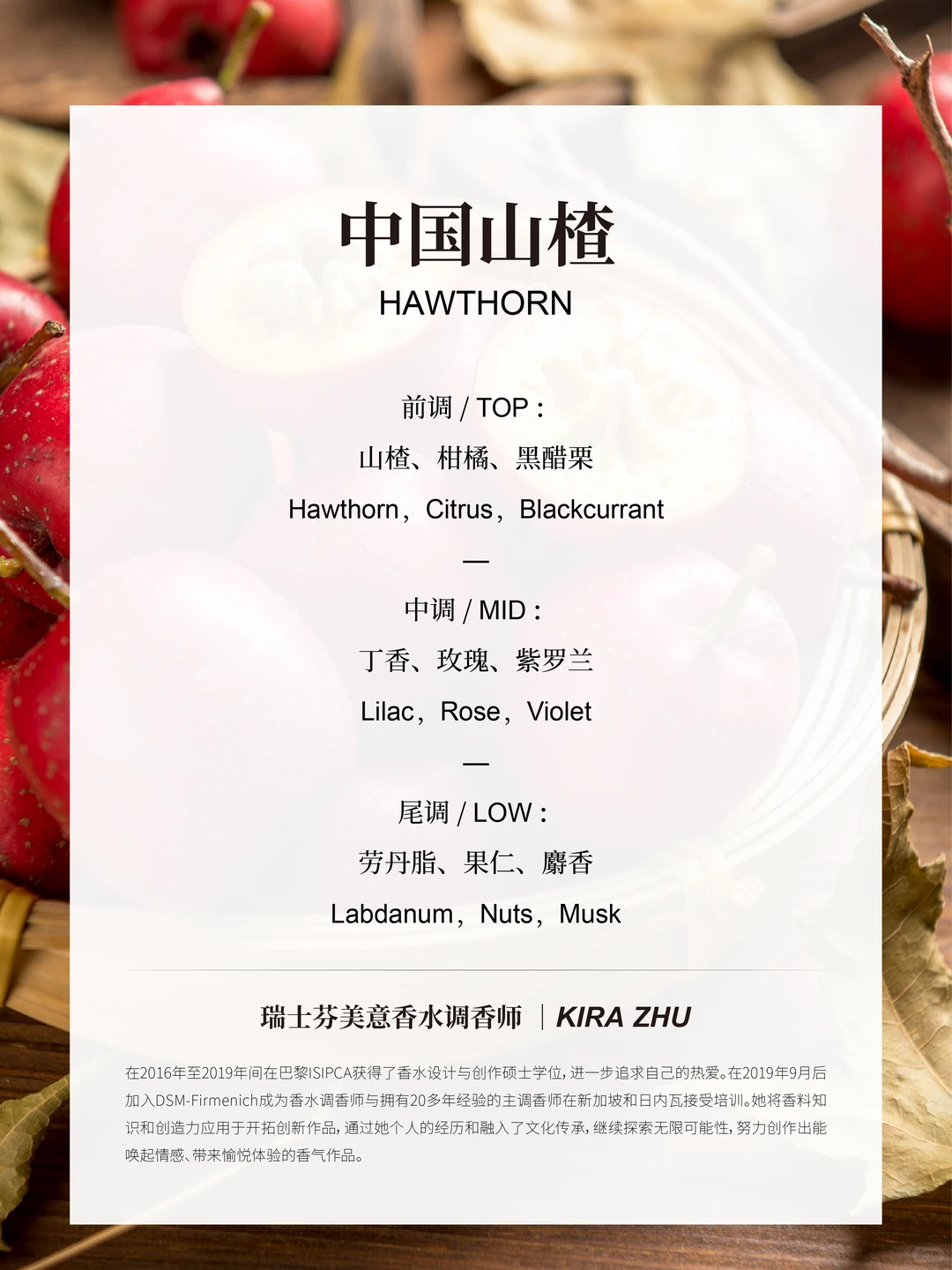 中国山楂｜充满诗意的秋日午后