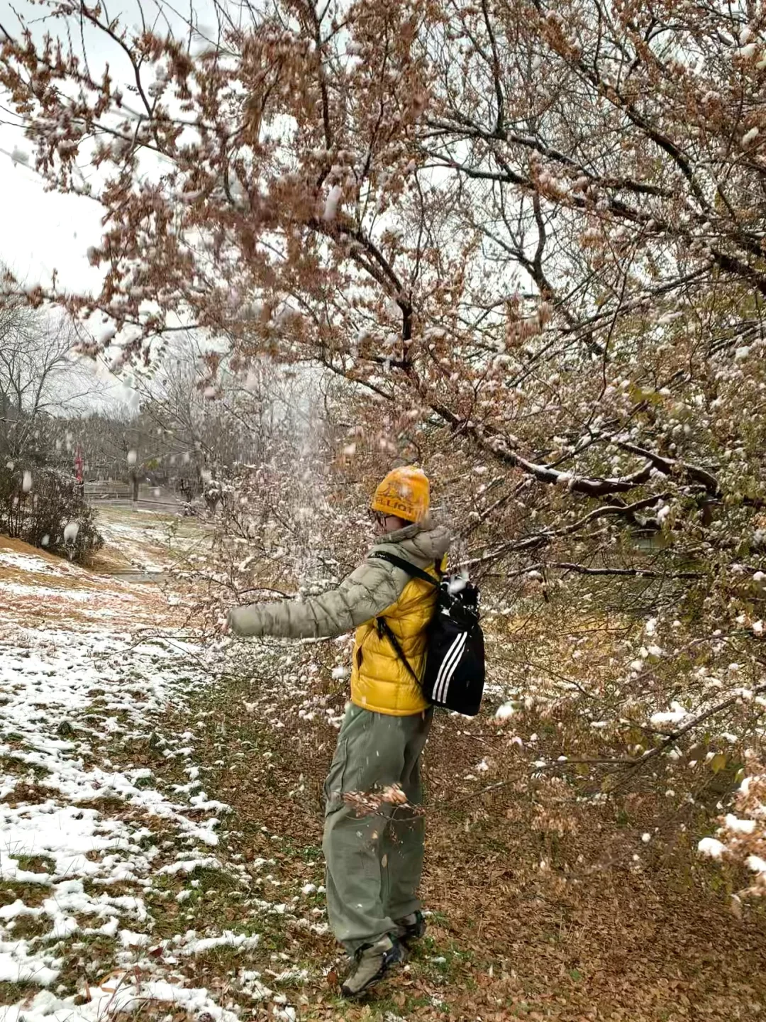 📍青岛初雪，海边的冰雪森林❄️🌲
