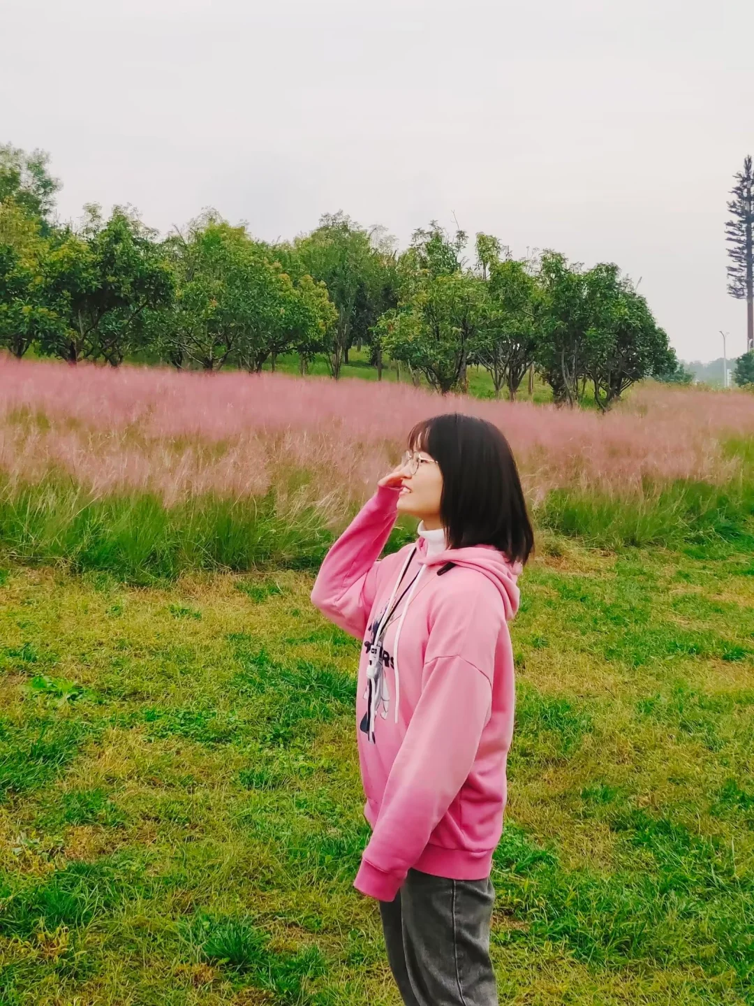 ❤️向上生长，散发阳光，自由又随性