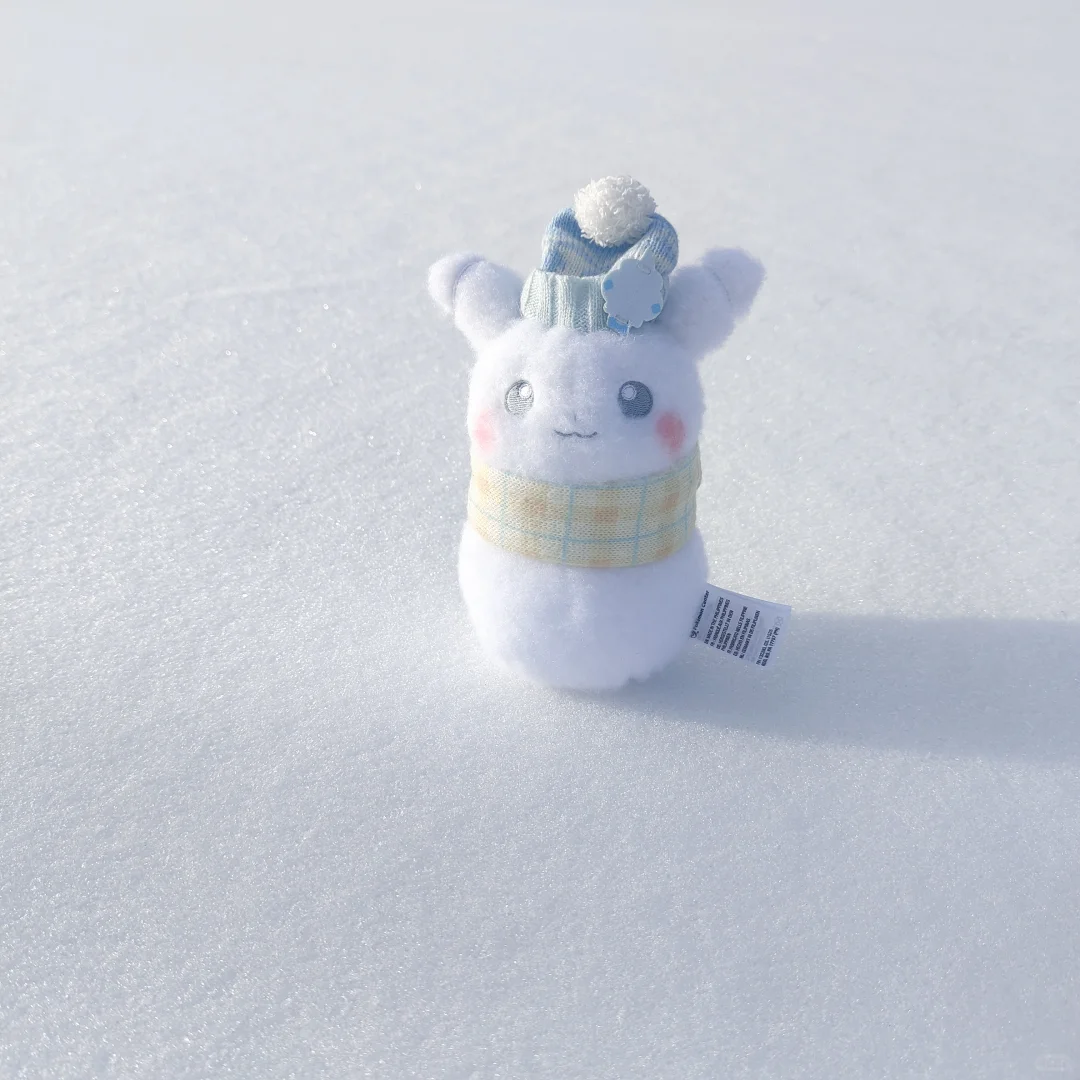 雪人皮·写真集