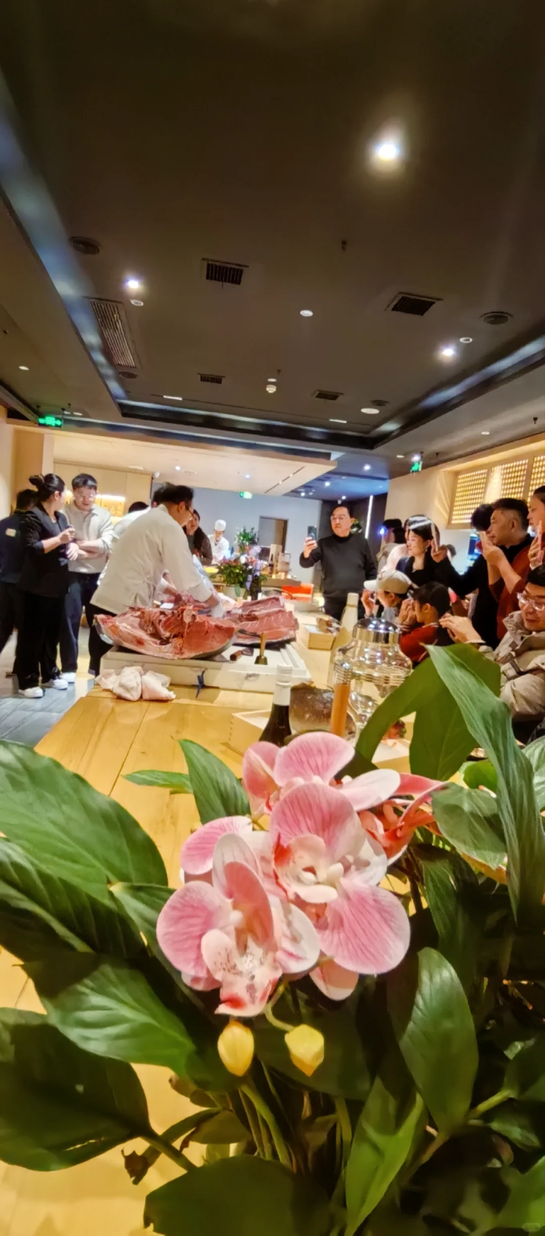 去吃蓝鳍金枪鱼~金枪鱼了！！！🌴