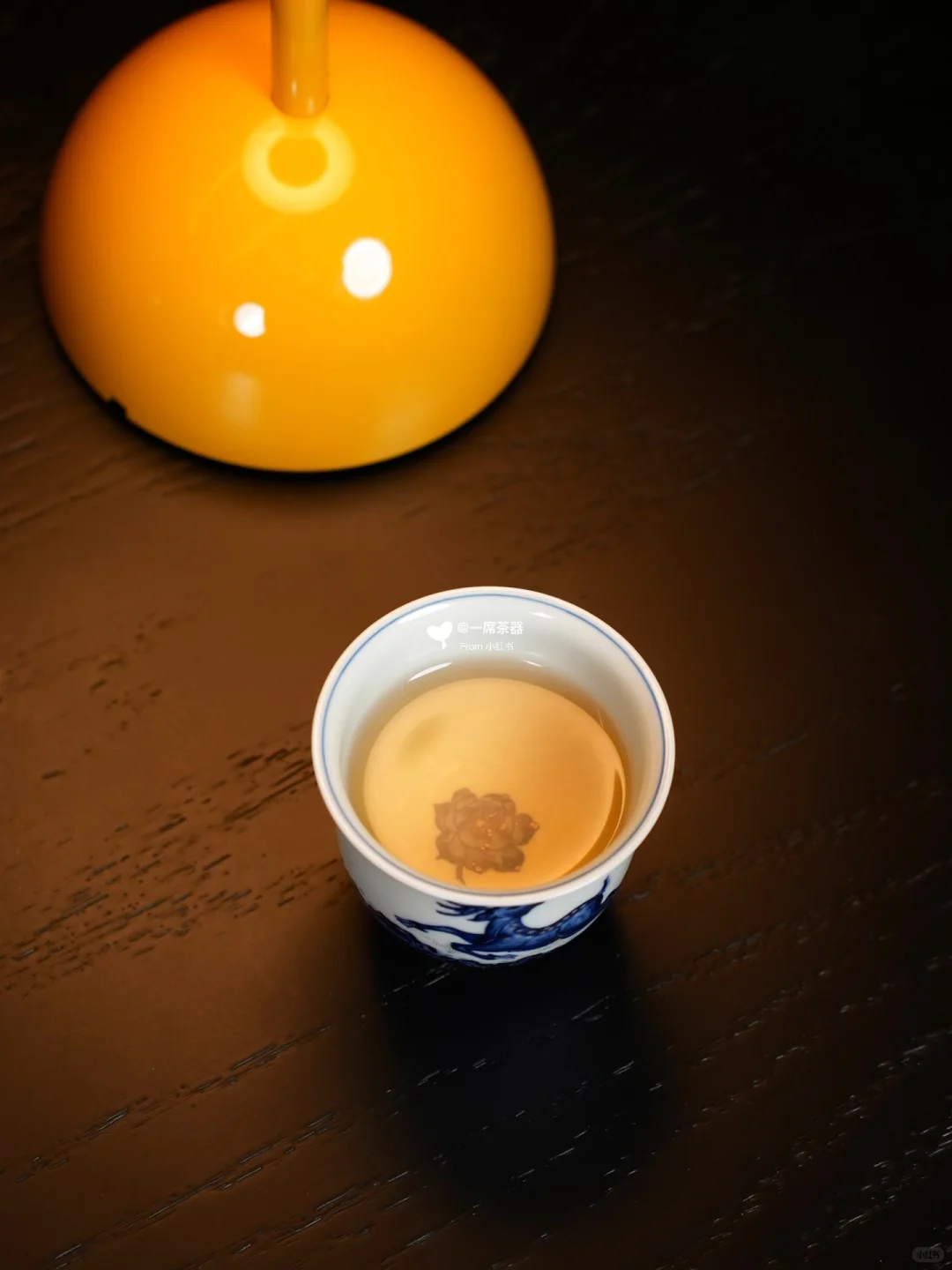 立明堂｜追光逐梦 一路繁花🦌