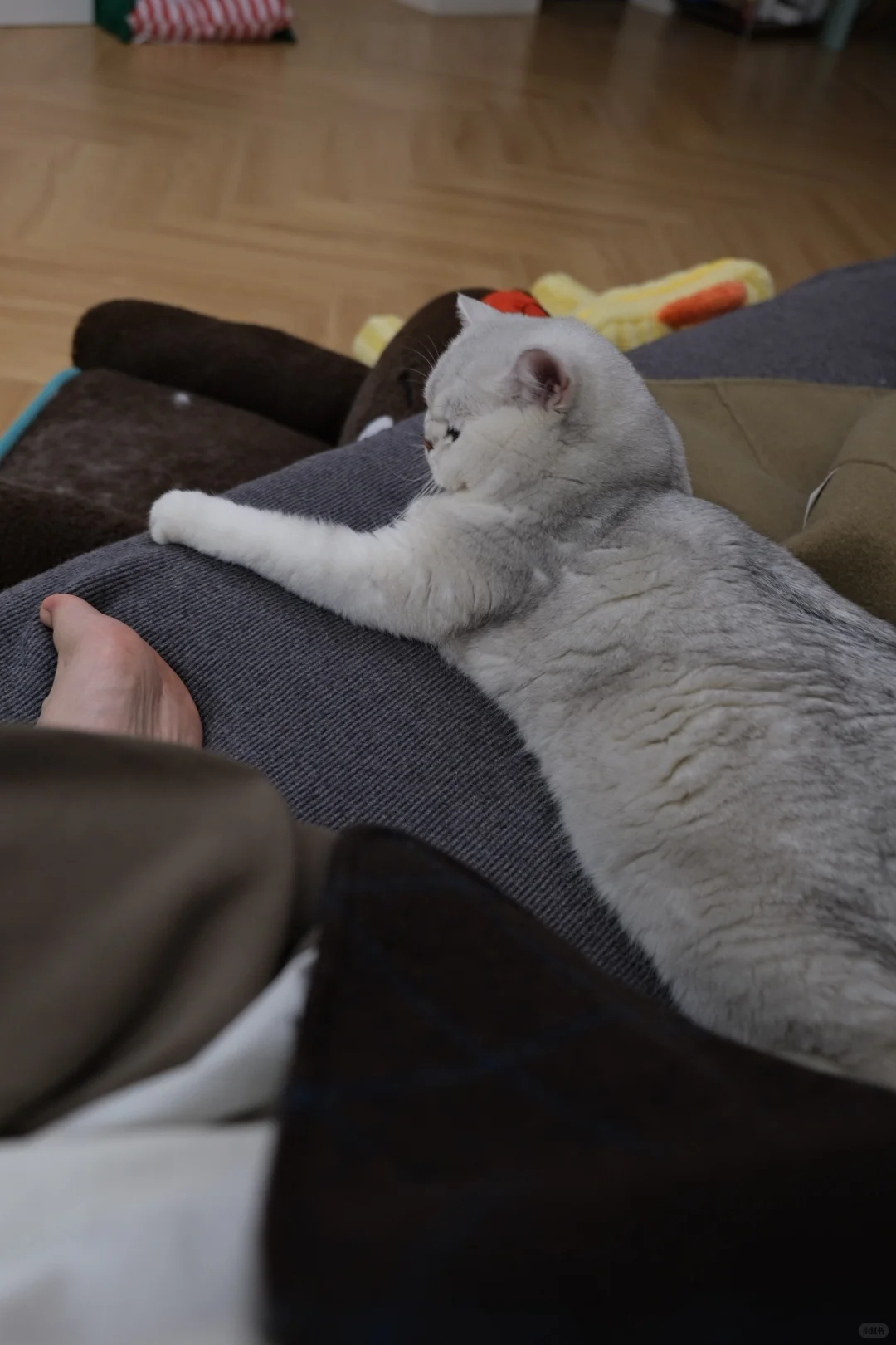 32岁，比起漂亮我更想要肆意的生活状态