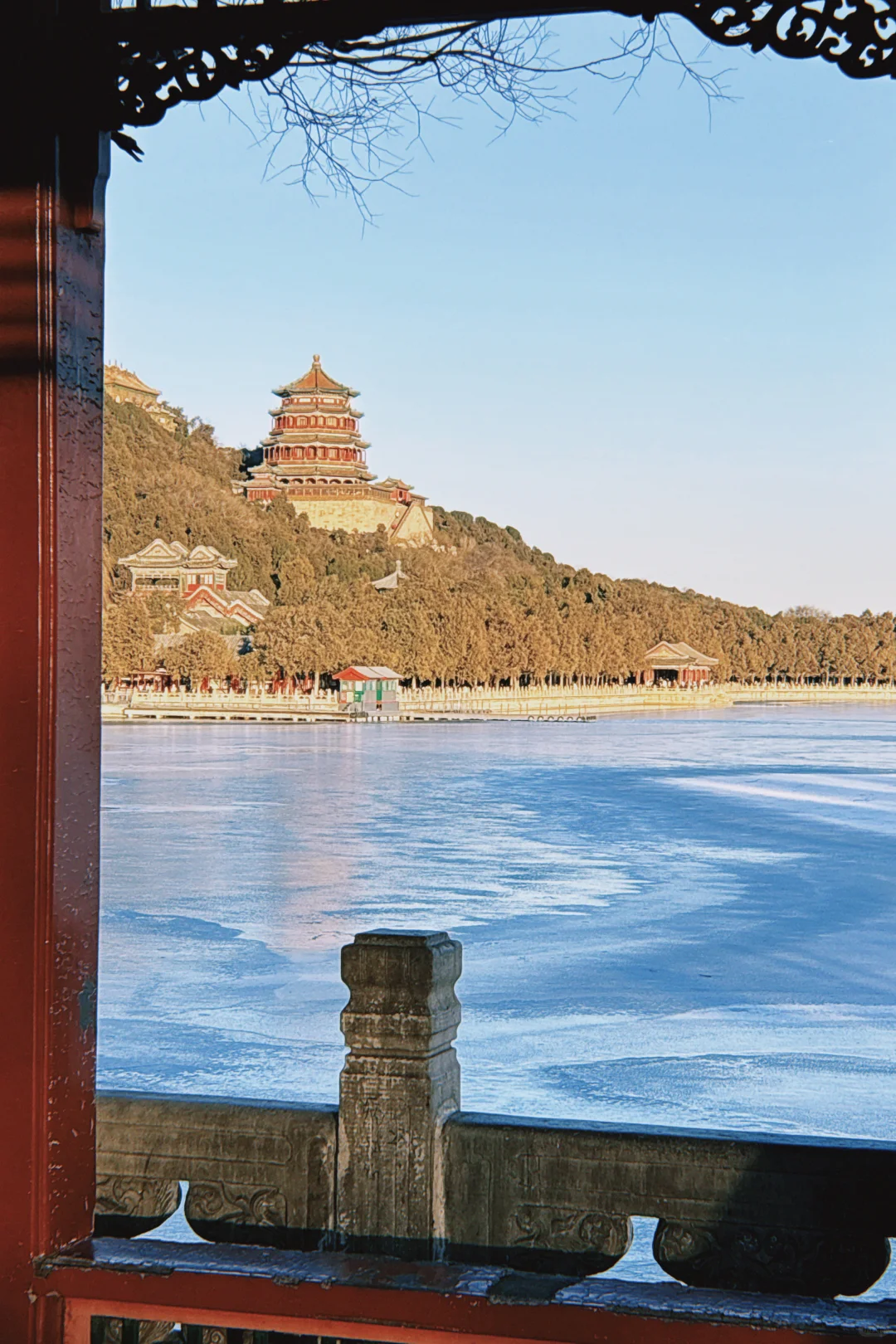 你好鱼老师 我又来刷你屏了