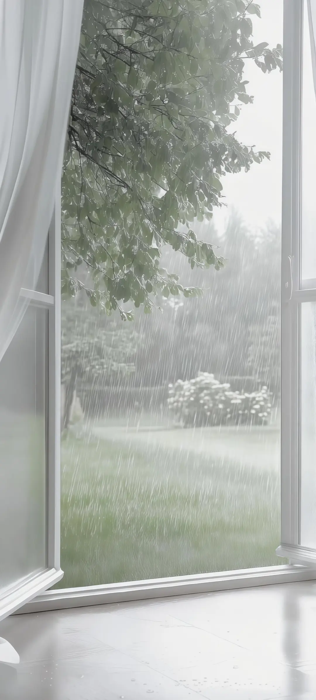 𝐒𝐡𝐚𝐫𝐞丨低饱和度壁纸