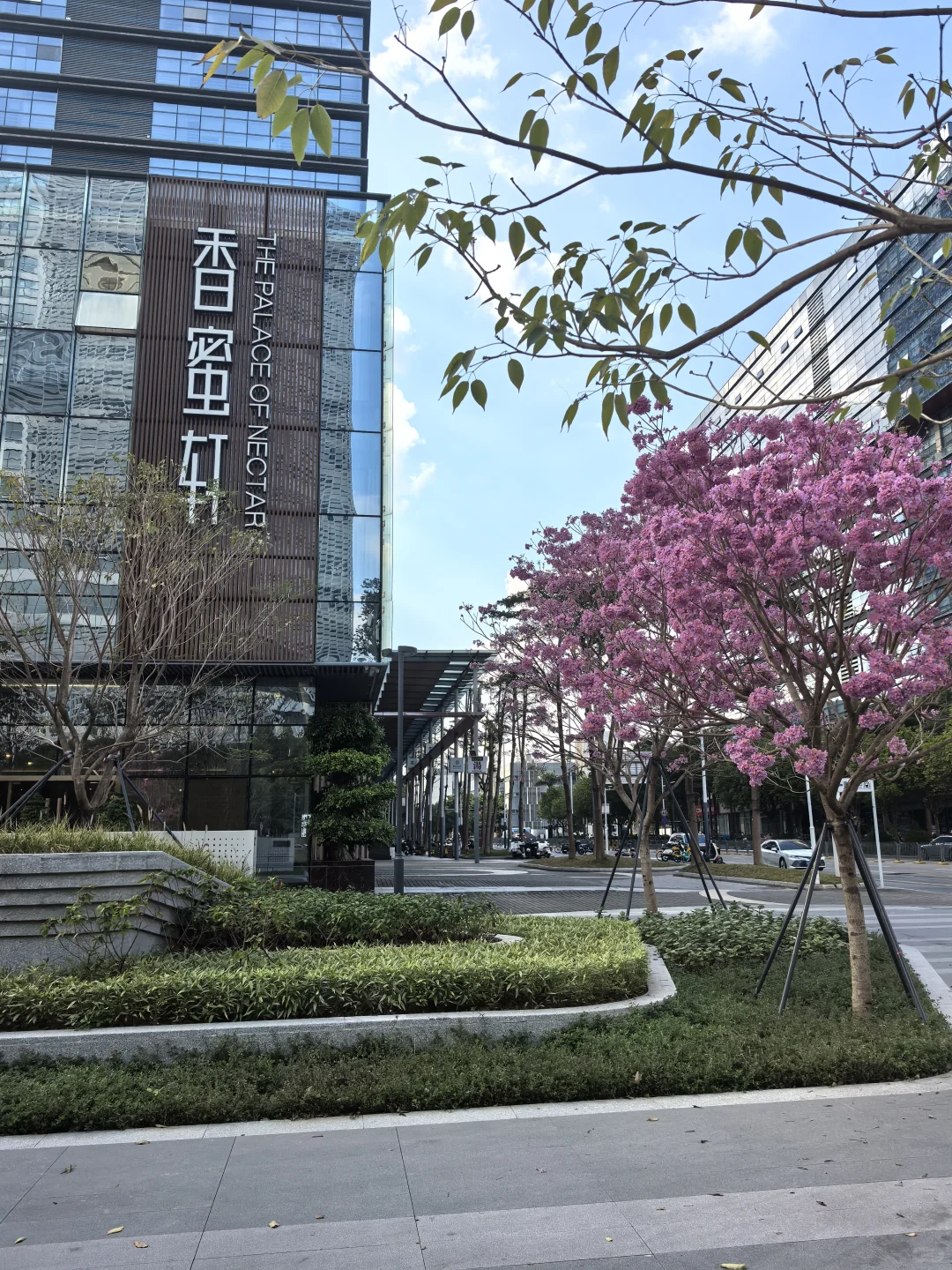 周末愉快，冬至安康