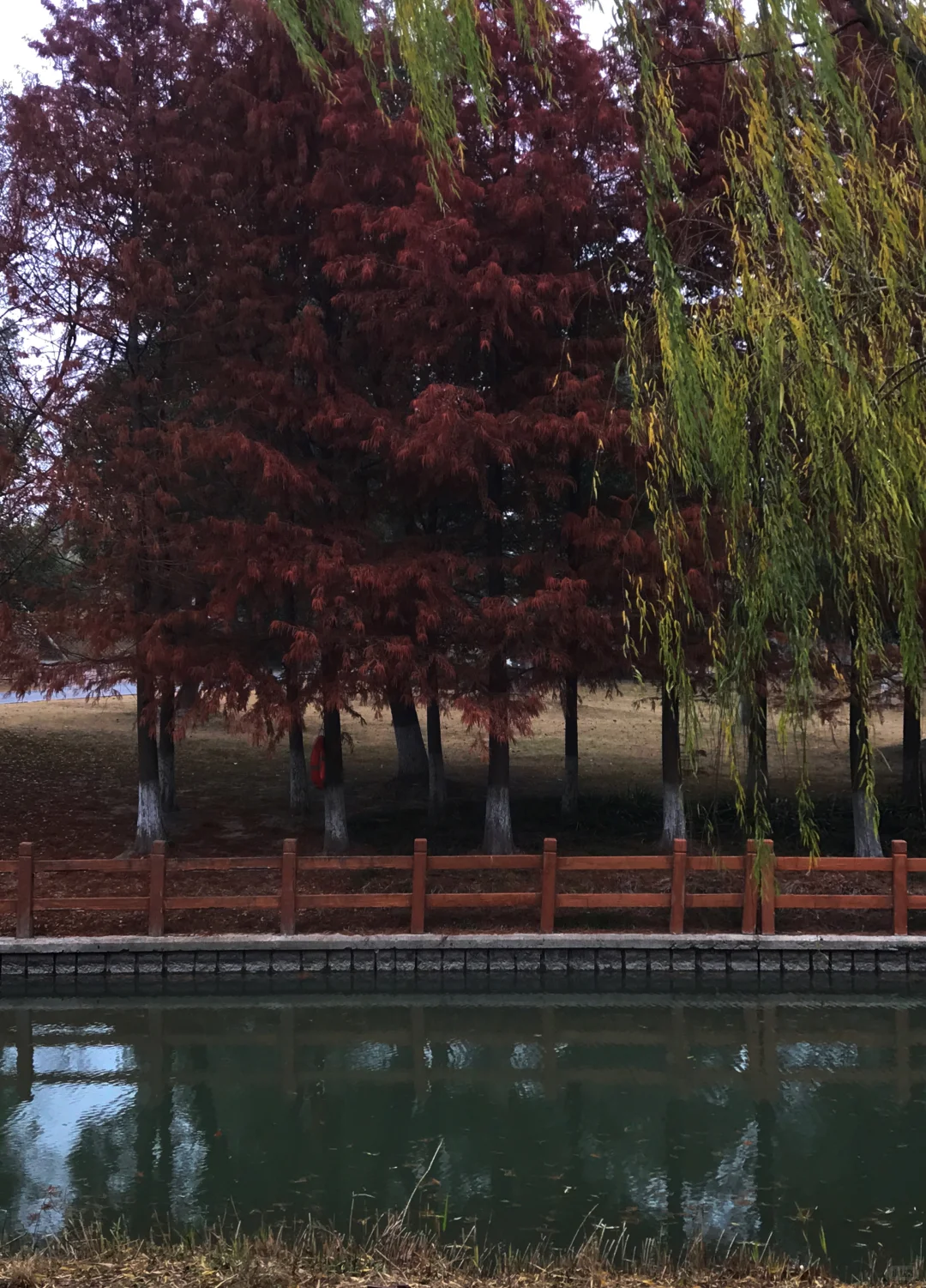 家人们，这里绝对是出红杉写真集的好去处