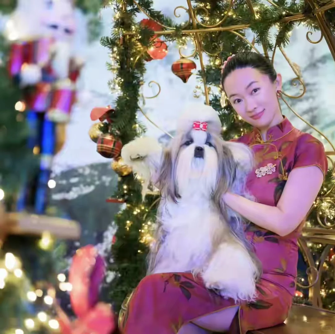 杜江激动发文庆祝老婆夺冠