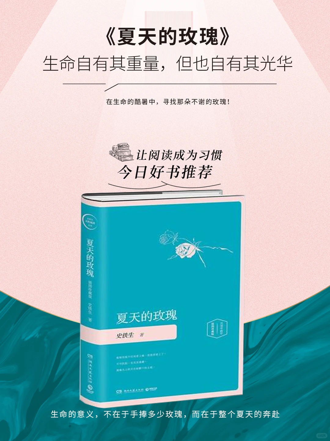《夏天的玫瑰》生命自有其重量但也自有其华