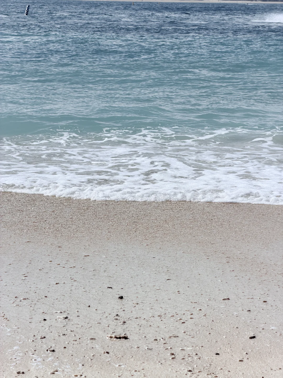 和大海的合影🌊太美了