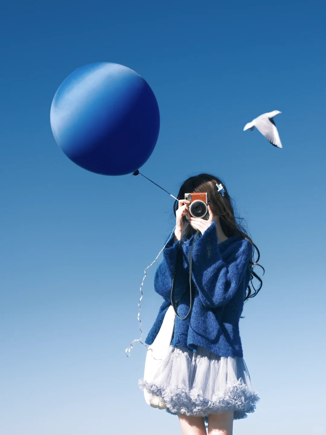冬日蓝调时刻胶片🎞️海边海鸥氛围感随拍