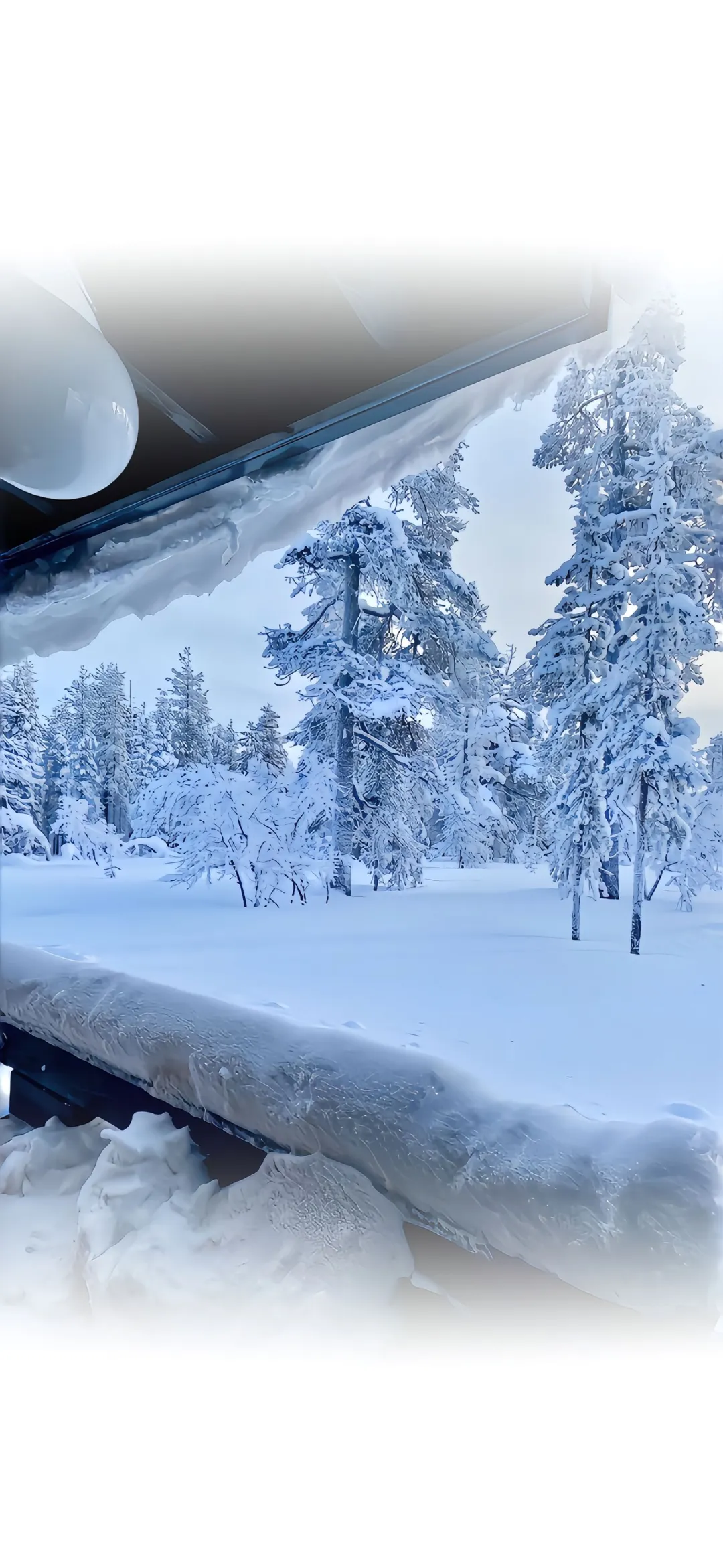 简约又高级的壁纸，超爱！