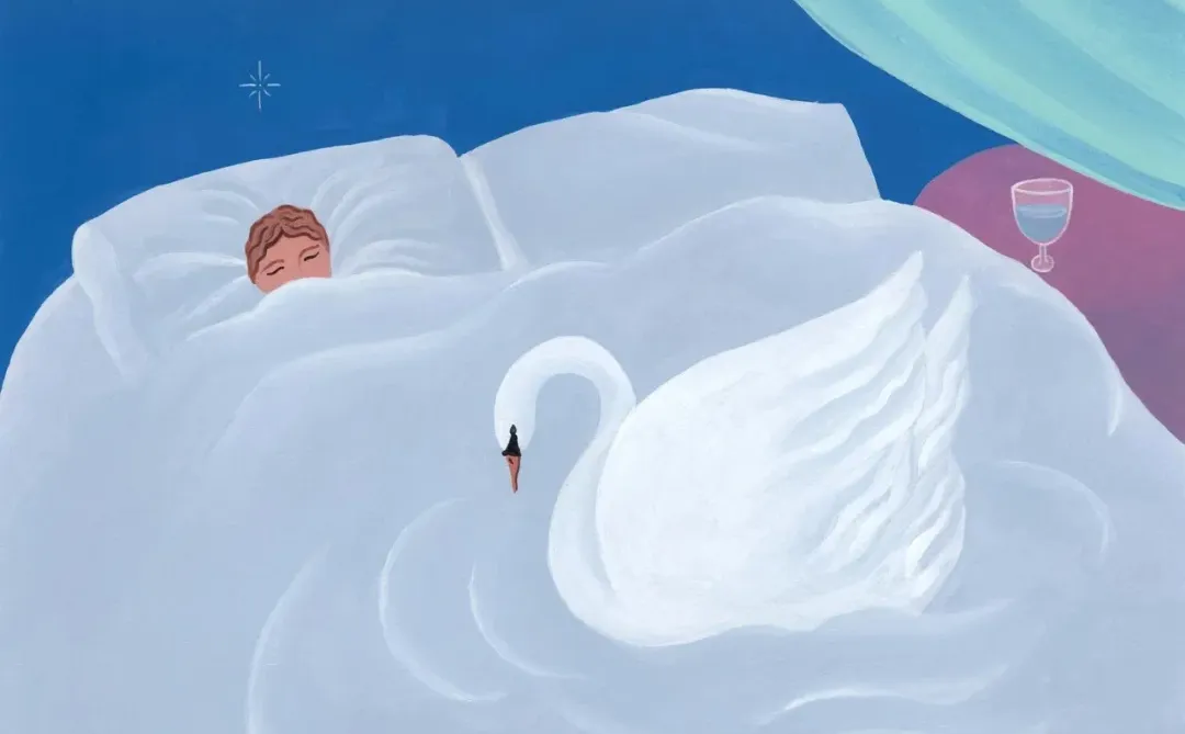 插画｜丰乳肥臀，时尚新宠儿