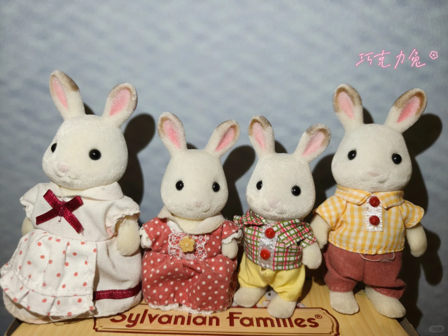 森贝儿全家福不慎泄露-兔兔篇