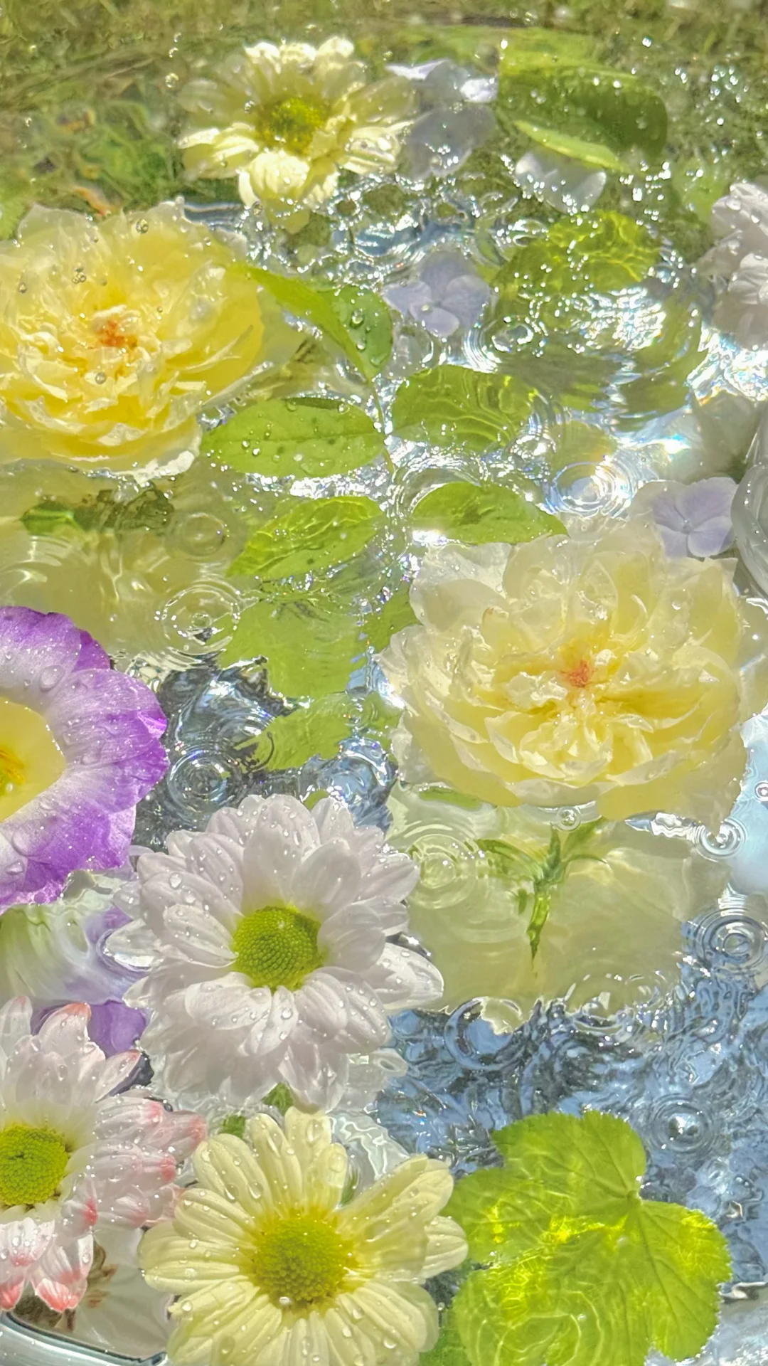 壁纸主理人｜2025年我的封神壁纸摄影图