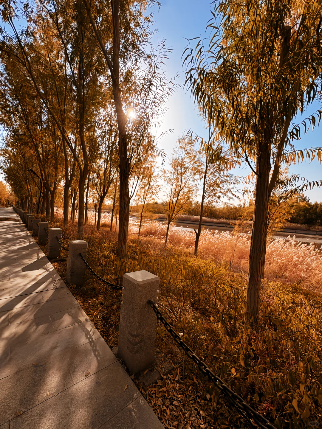 只是想被呵护的小孩