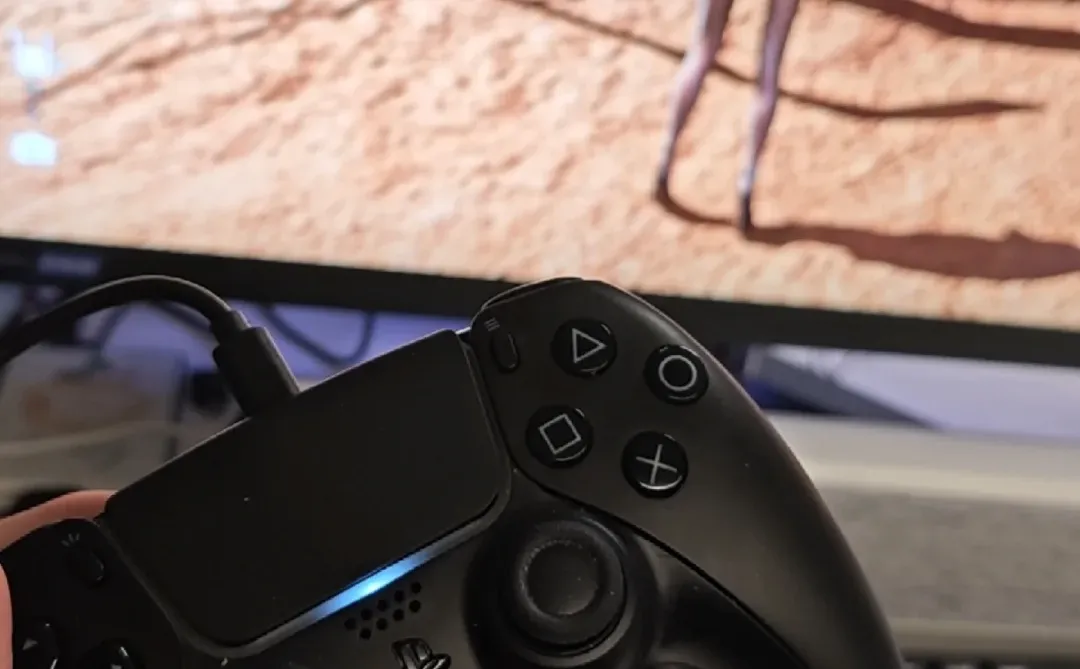 支持美少女游戏