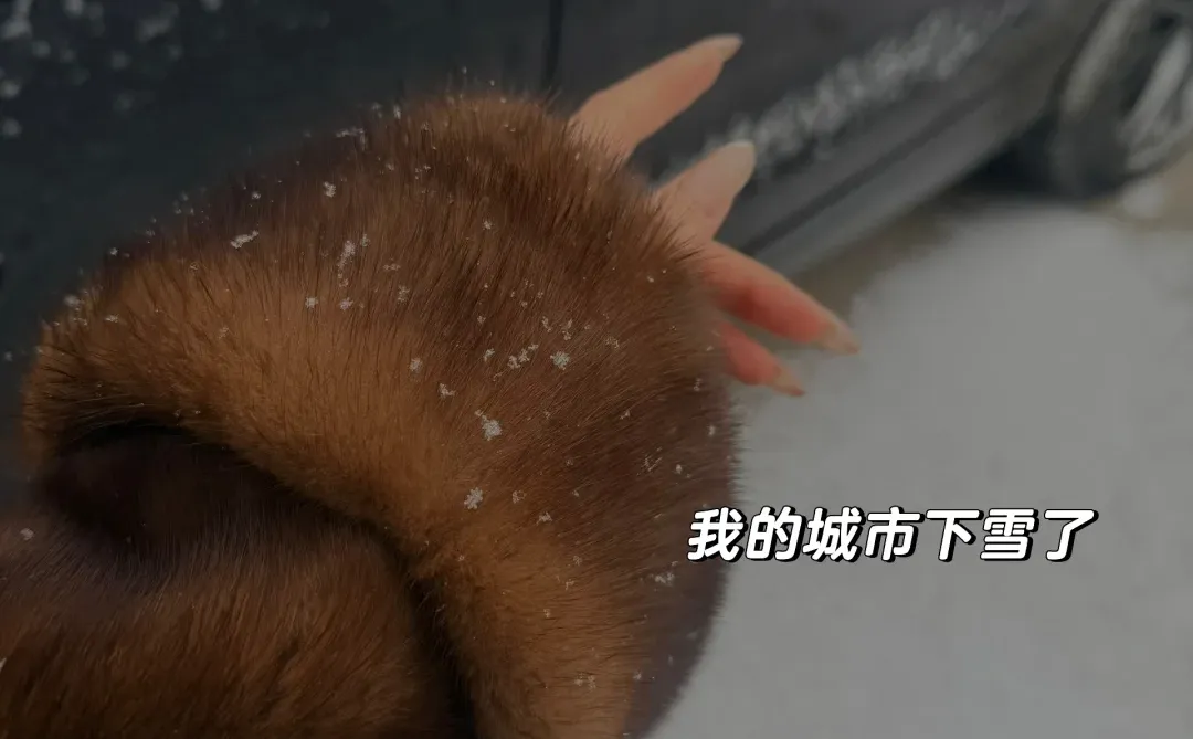 中年少妇 不漂亮但只有一点点气质哈哈哈