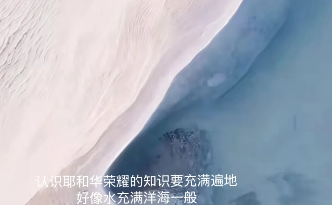 十二月二十四日 今天的感动