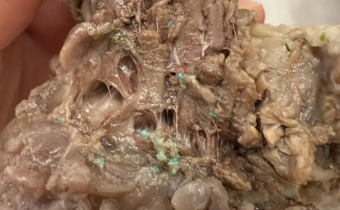 牛肉中蓝绿色凸起是什么？